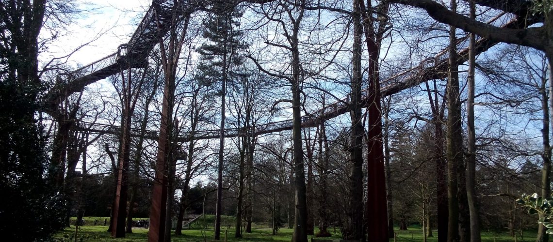 Rhizotron  -treetop wl
walkway  at Kew Gardens